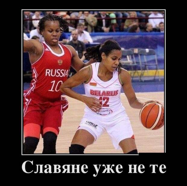 Демотиваторы (30 фото)