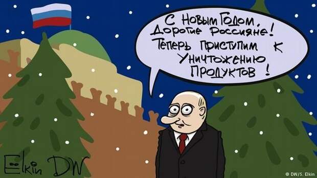 2017 год в карикатурах Сергея Елкина