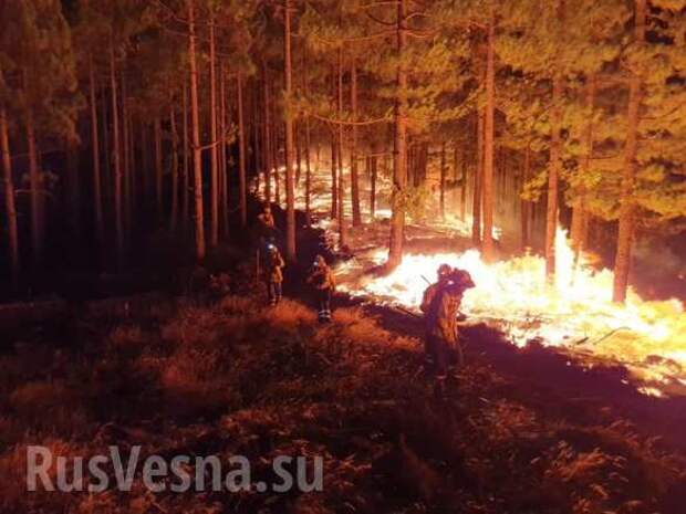 Страшные пожары на Канарах: эвакуированы тысячи человек (ФОТО, ВИДЕО) | Русская весна
