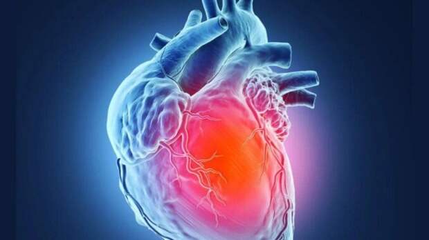 При каких симптомах необходимы УЗИ, МРТ или КТ сердца? Подробная инструкция. Что на самом деле видит врач