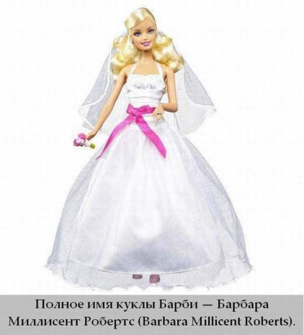 Интересные факты в картинках