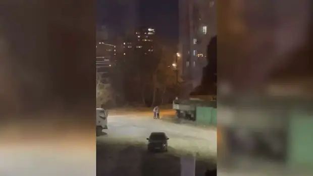 В Тюмени женщина избила ребенка ночью на улице