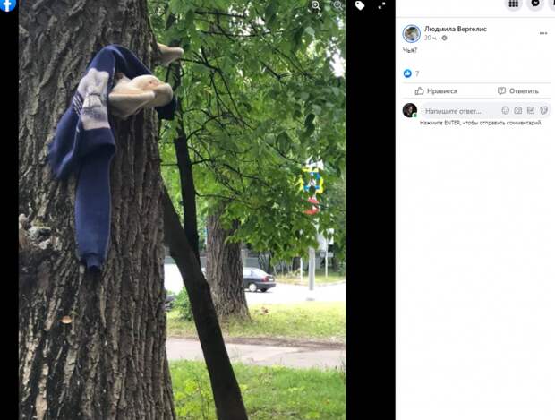 Фото дня: озябший гриб в Свиблове