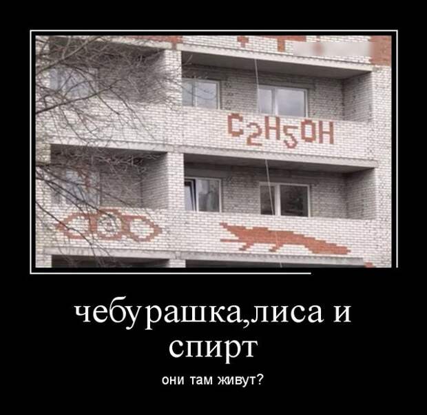 Демотиваторы (30 фото)