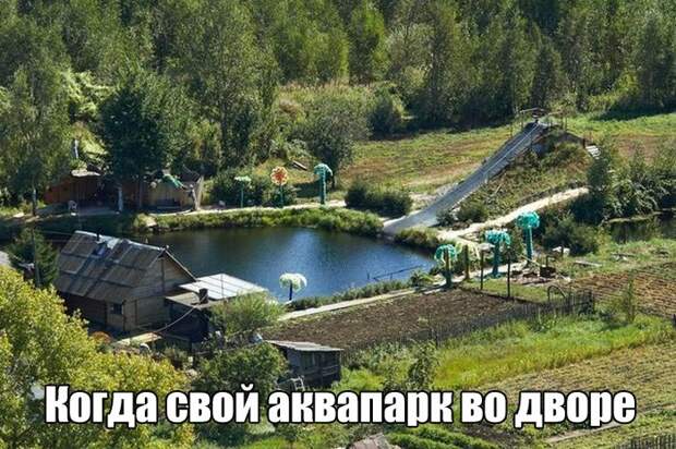 Прикольные картинки. Вечерний выпуск (57 фото)