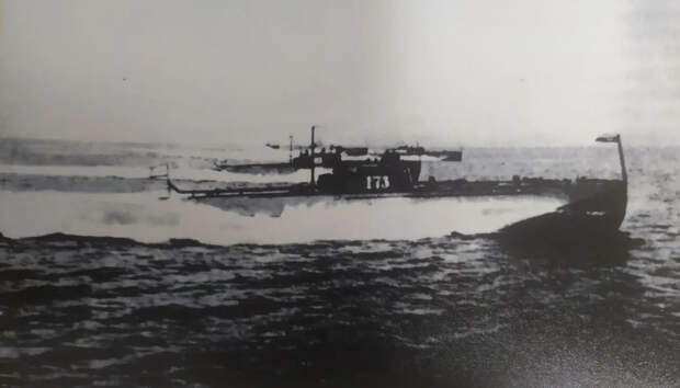 Страницы «Морского сборника»: торпедная атака немецкого флота в бухте Лыу