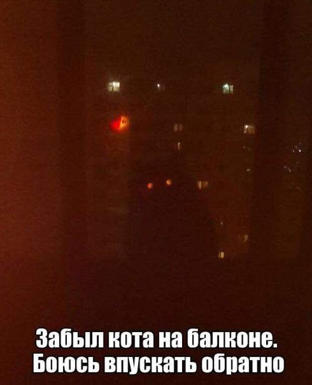 Смешные картинки с надписями Смешные картинки с надписями демотиваторы, прикол, юмор