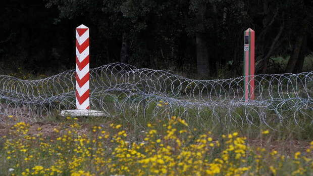 Границы ключ: Польша строит стену на границе с Белоруссией