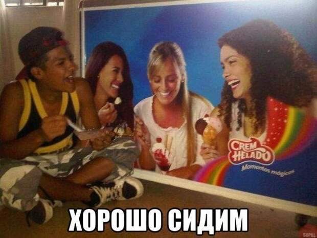 Отличная компания! А главное - прощаться не надо, сиди с ними хоть целую вечность! Отличная компания! А главное - прощаться не надо, сиди с ними хоть целую вечность! жизнь хороша, компания, посиделки, прикол