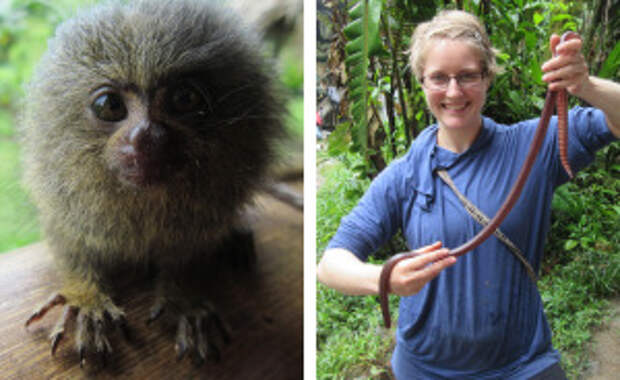 We Spent 5 Months In The Jungles Of South America, And Saw Some Crazy Things!