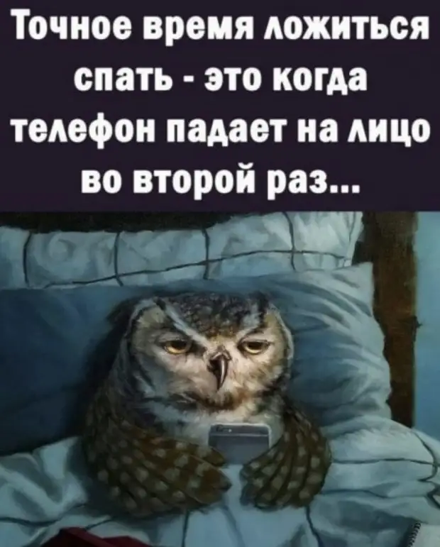 Немного юмора в начале недели