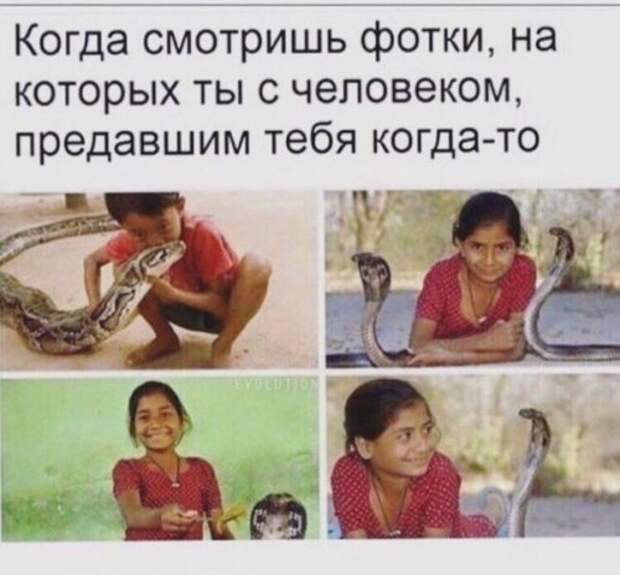 Прикольные фотомемы на Бугаге (25 шт)