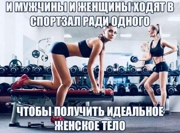 Смешные и познавательные картинки Смешные и познавательные картинки