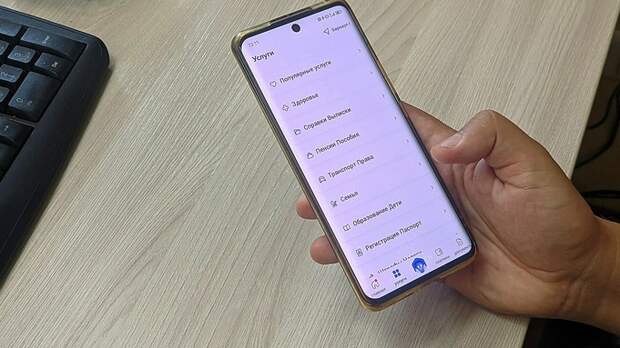 На "Госуслугах" запустили сервис для проверки злостных неплательщиков алиментов