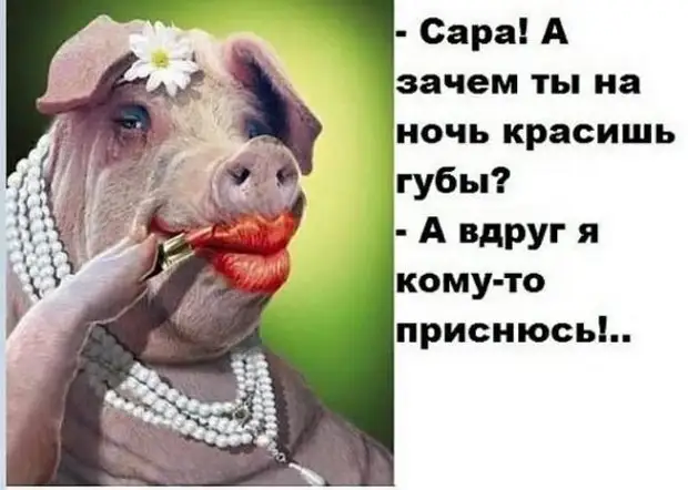 Чем занимаюсь? Да так, ничем... песца откармливаю… Будет полный… Чем занимаюсь? Да так, ничем... песца откармливаю… Будет полный… Ленинград, купит, хахаль, пациентов, мопед, Почему, думал, подоконнике, твоих, боюсь, шевелятся, Слушай, финансовое, положение, вроде, улучшается, Армия, старое, превратить, половую