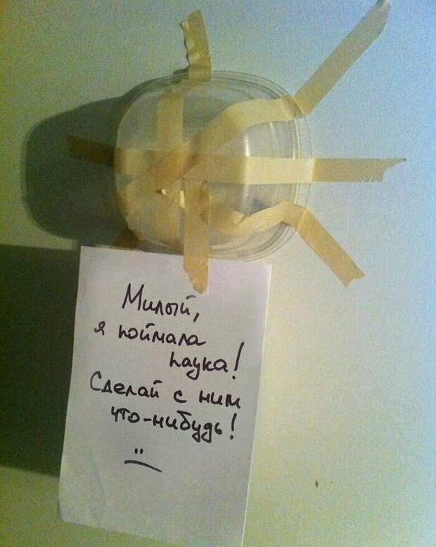 Секретное оружие женщин по выведению из равновесия - женская логика Секретное оружие женщин по выведению из равновесия - женская логика