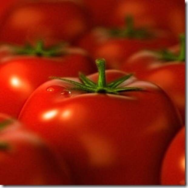 tomato