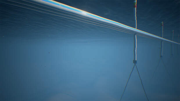 Морской участок стартовой эстакады ОТС: опоры не доходят до морского дна, удерживаясь наплаву системой подводных поплавков-тоннелей и якорей (вариант)