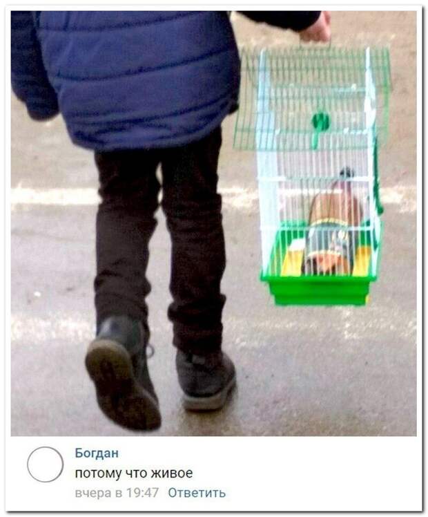 Потому что живое ))) Потому что живое )))