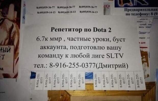 Репетиторство: Россия, наши дни