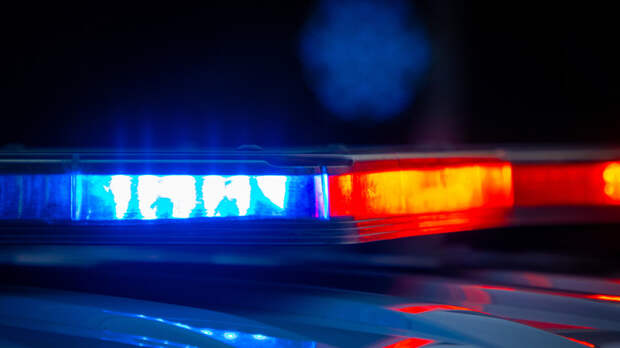 Глава «Читай-города» рассказал, из-за каких книг силовики проверяли магазины