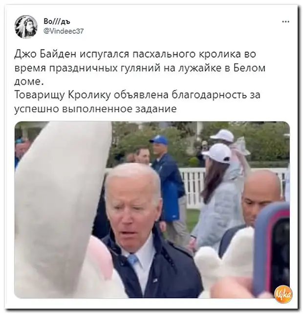 О последних событиях  мире с насмешкой и ухмылкой