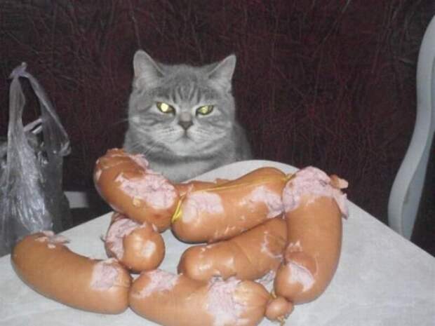 — Извиняться? Мне не за что извиняться.