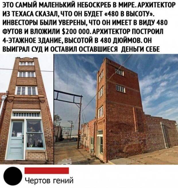 kartinok-prikolnyh-podborka-kartinki-smeshnye-kartinki-fotoprikoly