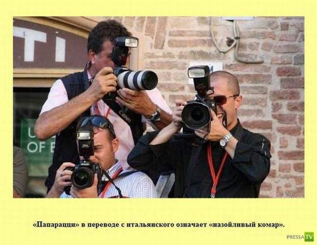 Прикольные факты о которых вы не знали