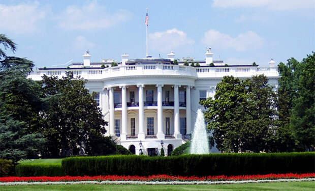 2 Белый дом черные мешки