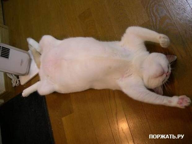 Фото-приколы для просмотра онлайн на сайте.