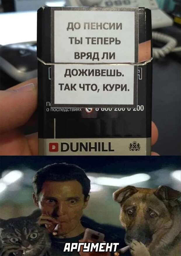 Смешные картинки 23 декабря 2021 года