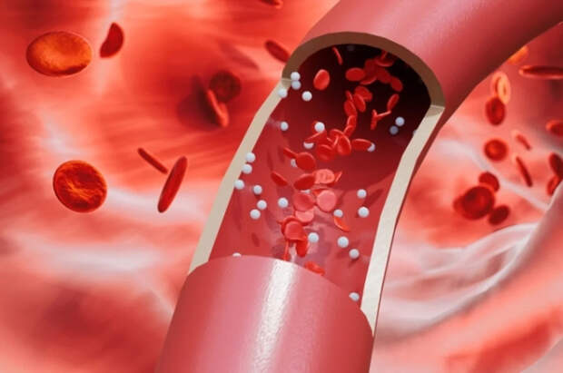 Терапевт Хухрев раскрыл секреты гормона стресса кортизола