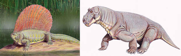 Представители пермской фауны эдафозавр и эстемменозух. /Фото:paleontologylib.ru Представители пермской фауны эдафозавр и эстемменозух. /Фото:paleontologylib.ru