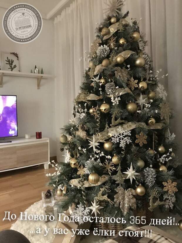 Лучшие Анекдоты из Питера за 01.01.2026