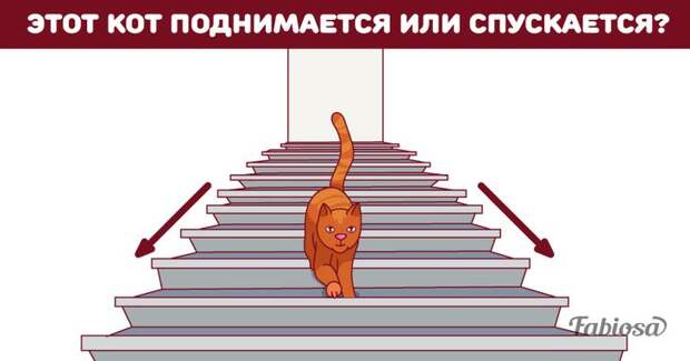 5 загадок на внимательность. Отличный «фитнес» для мозга! 5 загадок на внимательность. Настоящий «фитнес» для мозга!picture puzzle, logic puzzles