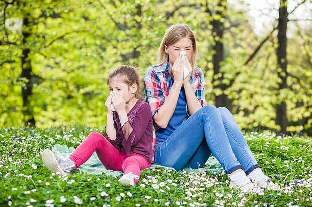 Способы справиться с аллергией на цветущие деревья