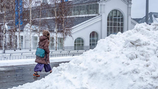 До 65% месячной нормы осадков выпало на юге Подмосковья