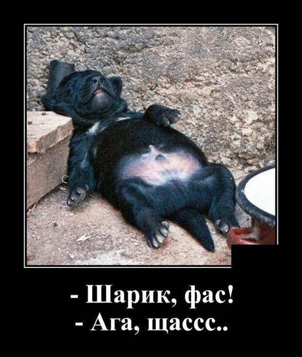Демотиваторы 29 июля 2021