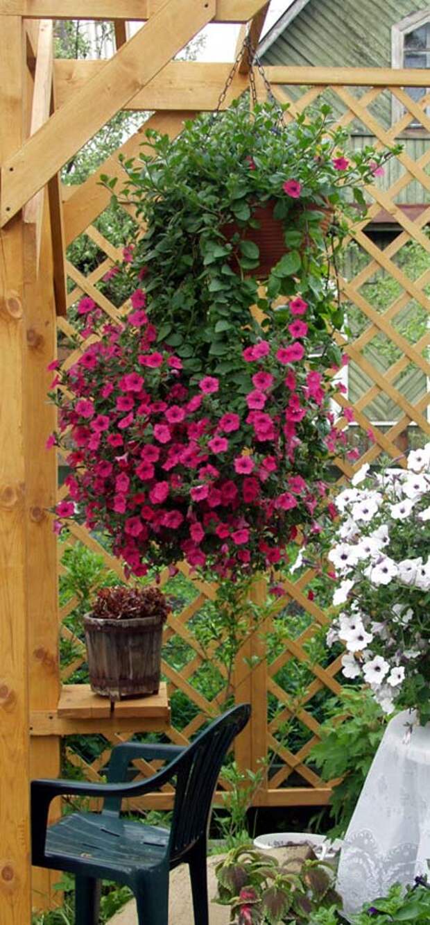 Tornado на второй год