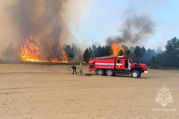 Amur Mash: в Еврейской автономной области горят 51,6 тыс. гектаров тайги