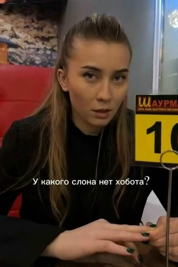 У какого слона нет хобота