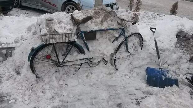 Весна и первые подснежники они такие разные