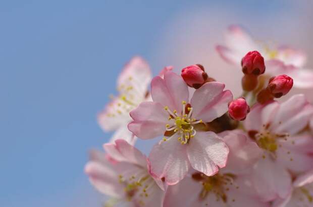 Есть только миг между прошлым и будущем... Есть только миг между прошлым и будущем...