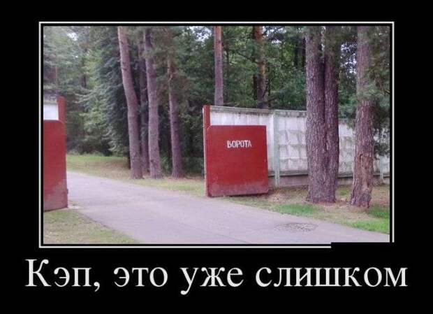Демотивируемся! Демотивируемся!