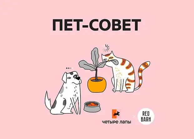 Студия Red Barn выпускает новый подкаст о животных