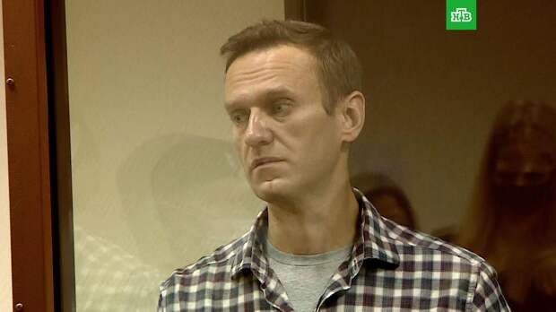 СК изучит высказывания Навального в адрес суда, прокурора и ветерана
