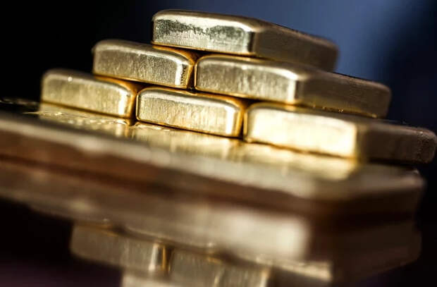 Житель французской коммуны обнаружил у себя в саду золотые слитки