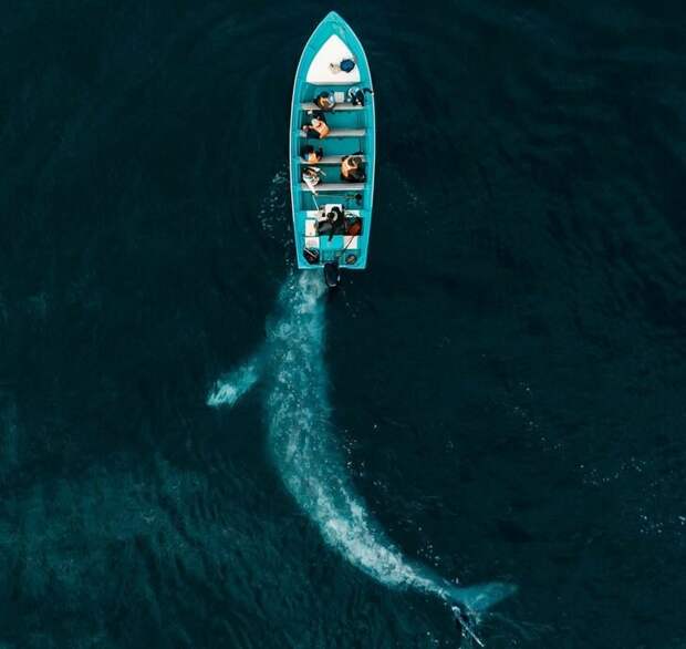 Jose G. Ruiz Cheires / National Geographic