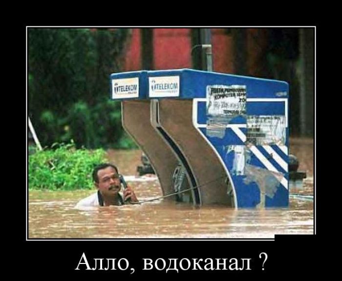 Демотиваторы бревно, демотиваторы, юмор